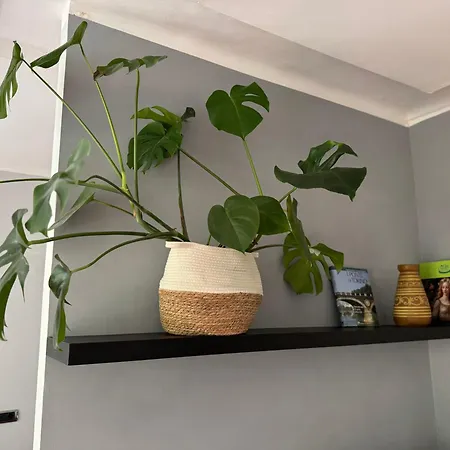 Massena Boutique טורינו